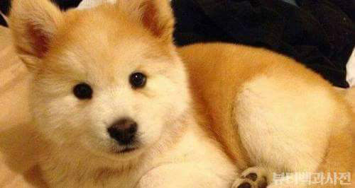 99CA6B465D2F31AD03A9BA