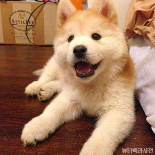 99E2F6465D2F31AD2464F6