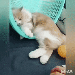 996718355D2F2EB3145FD5