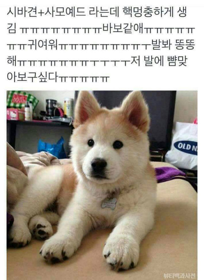 99ACEC465D2F31AC04FA4A