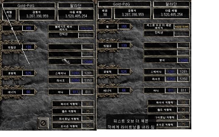 11331904.jpg