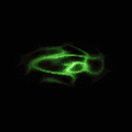 xwgwiJU.gif