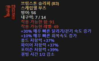 레지부츠.PNG