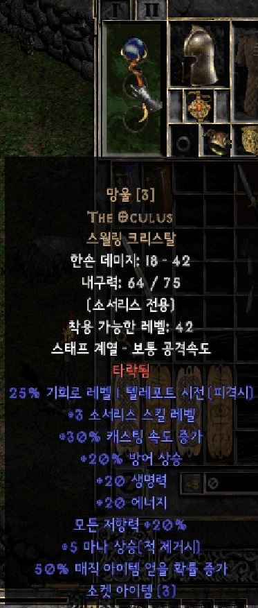신옵.JPG