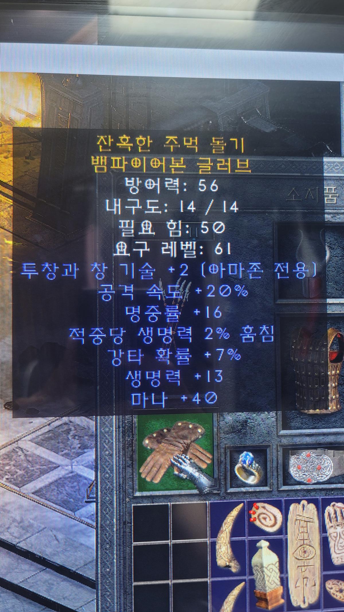 아마존 스킬장갑 시세좀 알려주세요 - 1
