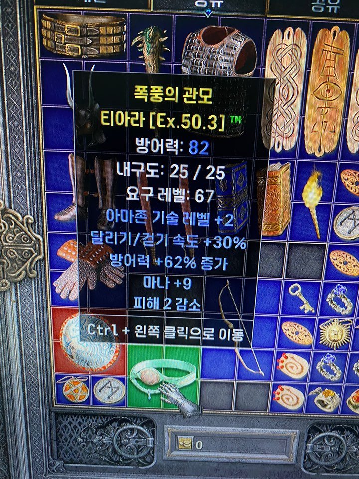 아마존 다이어뎀.jpg