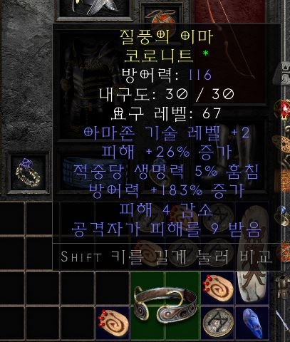 아마존 투구.JPG