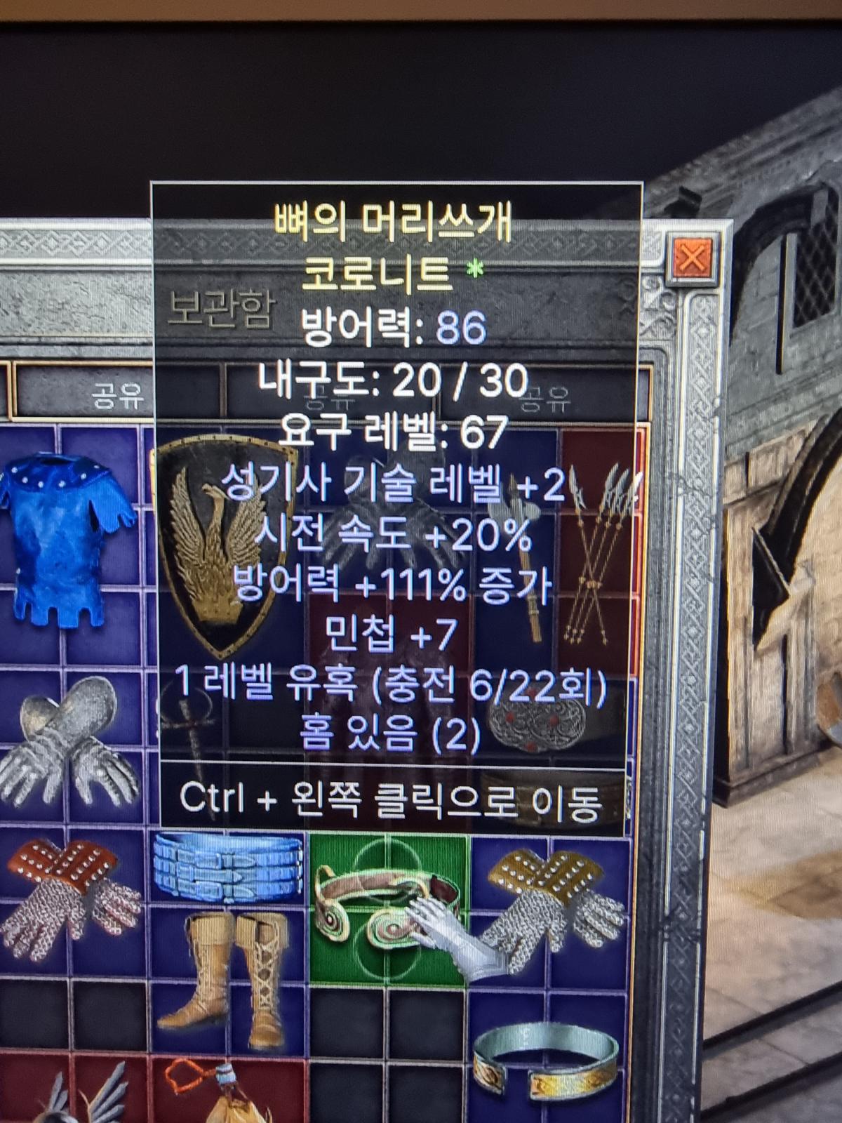 성기사 레어코로니트 감정좀 - 1