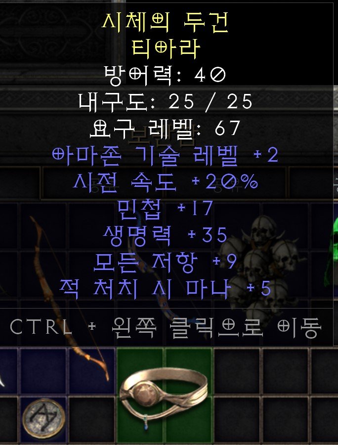 아마존 머리.jpg
