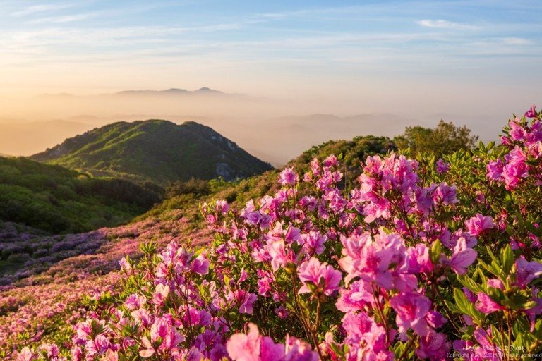 황매산.jpg