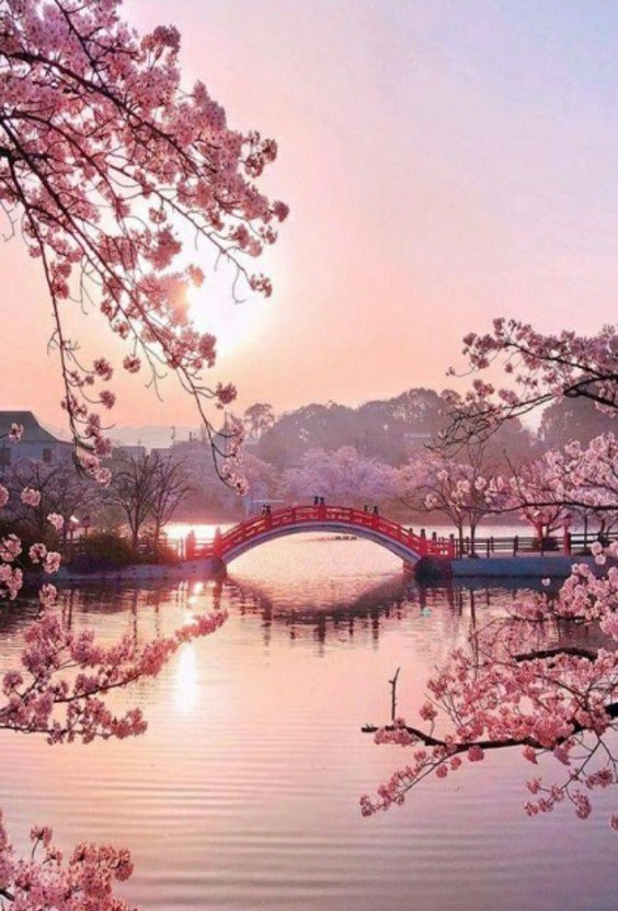 봄풍경.jpg
