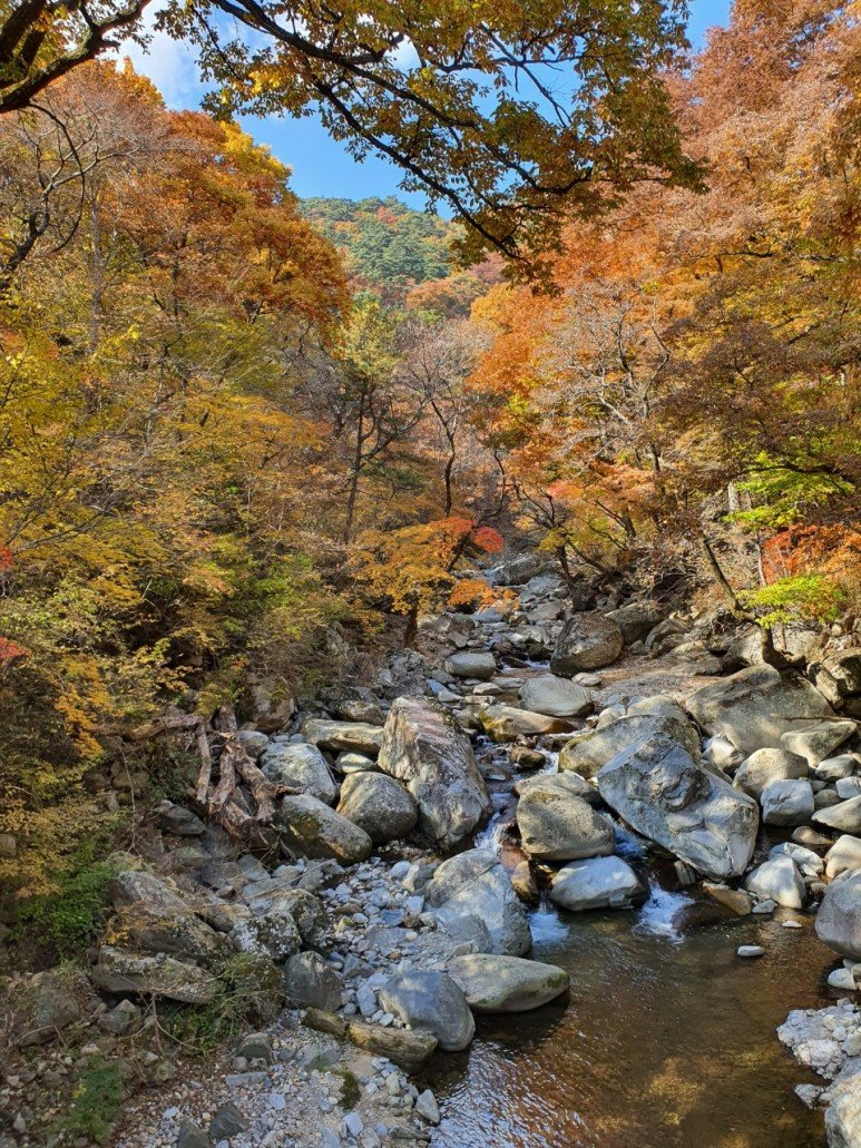 가야산 해인사.jpg