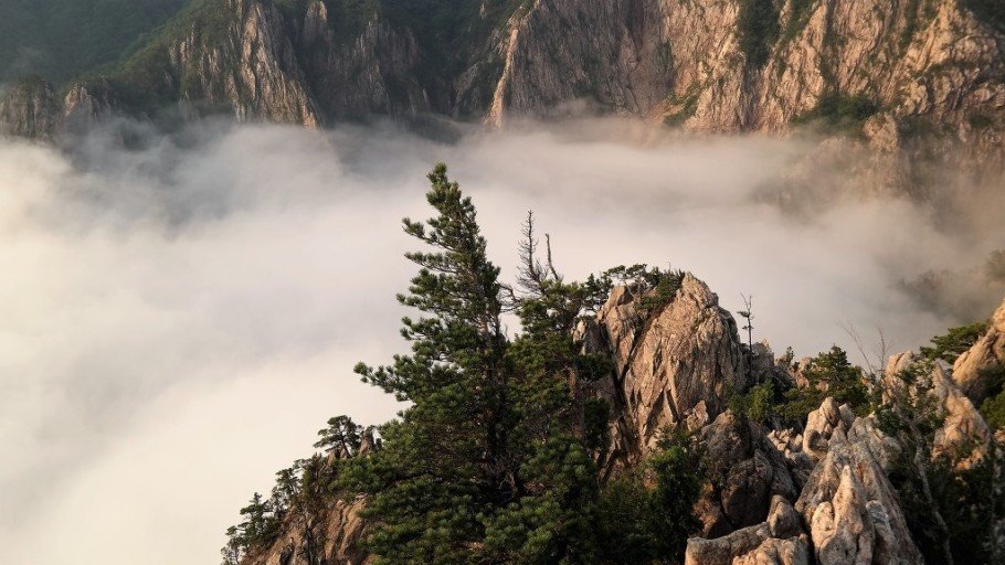 다운로드 (1).jpg