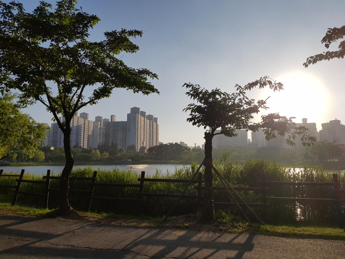 경치 - 1