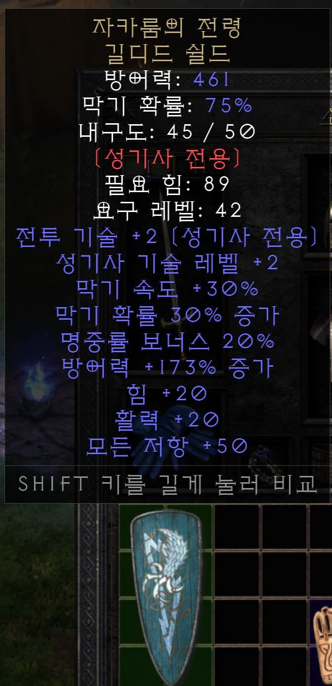 방패.JPG