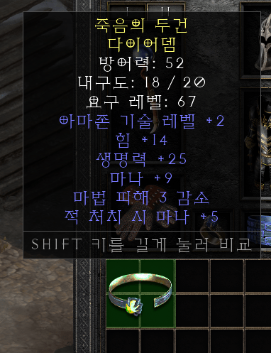 아마존 다이어뎀.png