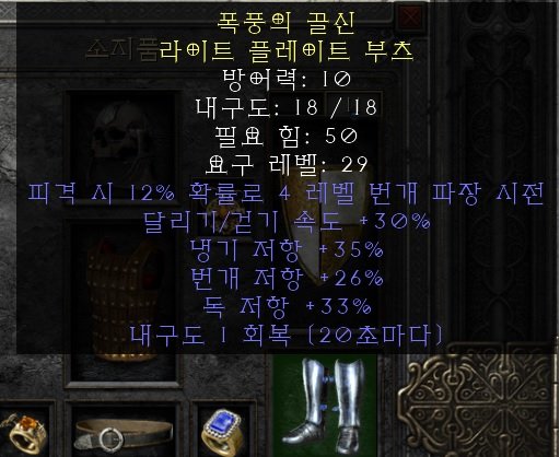레지부츠.jpg