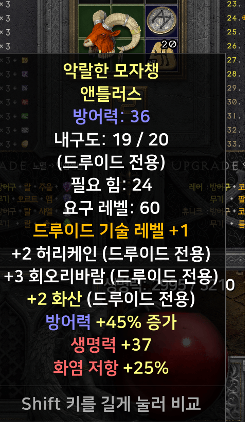 엘리 머리.png