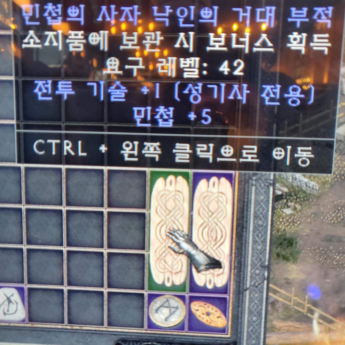 팔라딘 스킬참 감정 부탁드립니다 - 1