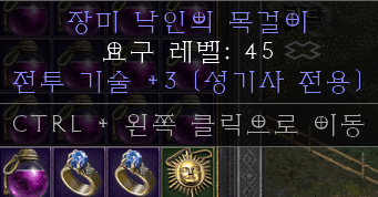 팔라전투기술3 단일 아뮬.png