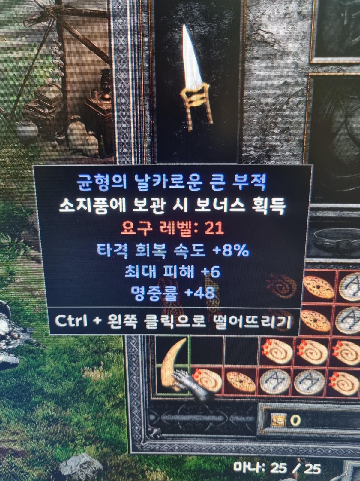 으뜸 맥어레패힛 라지참 - 1