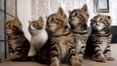 167b47658c3176637.gif