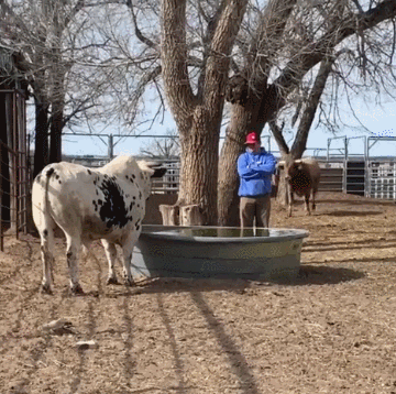 1640060477349.gif