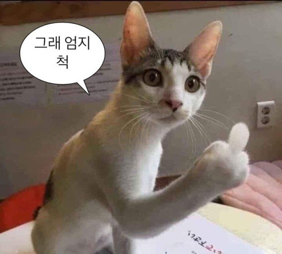 자신감.jpg