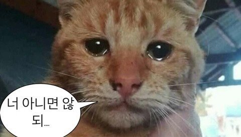 슬픔.jpg